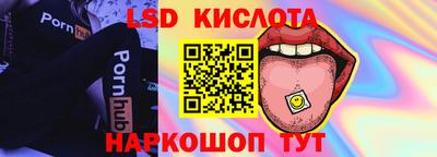 индика Бердск