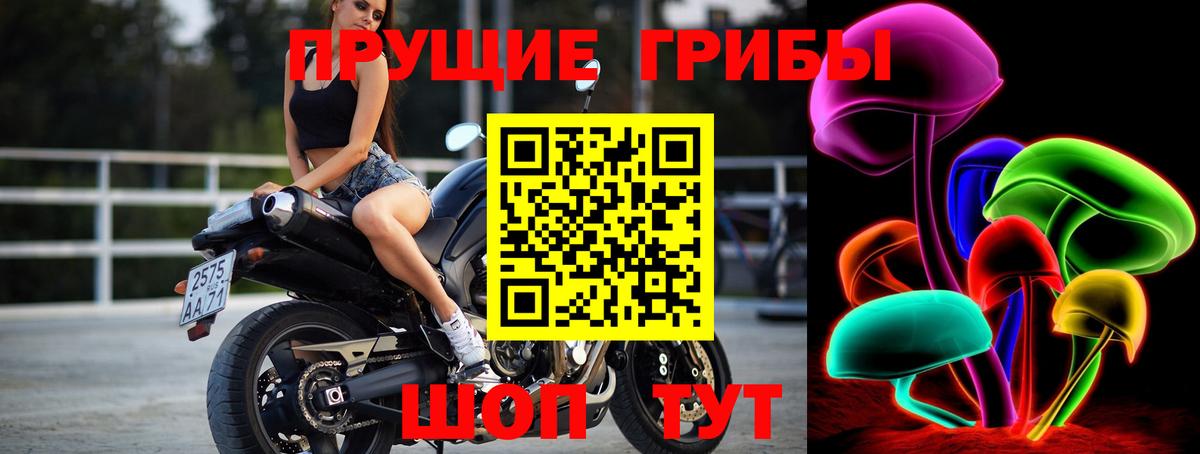 Псилоцибиновые грибы GOLDEN TEACHER  Вход с VPN  Новотроицк 